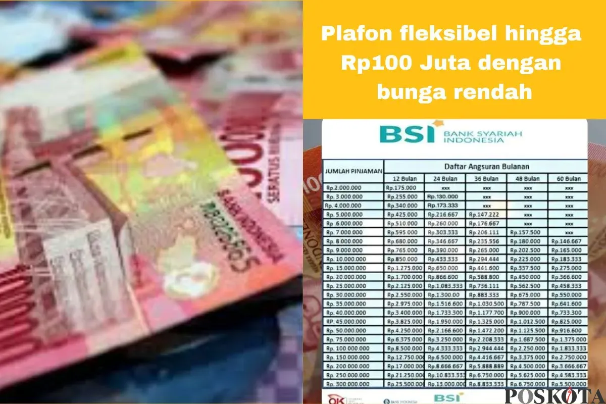 Jenis-jenis pinjaman KUR BSI 2025. (Sumber: Poskota/Arip Apandi)