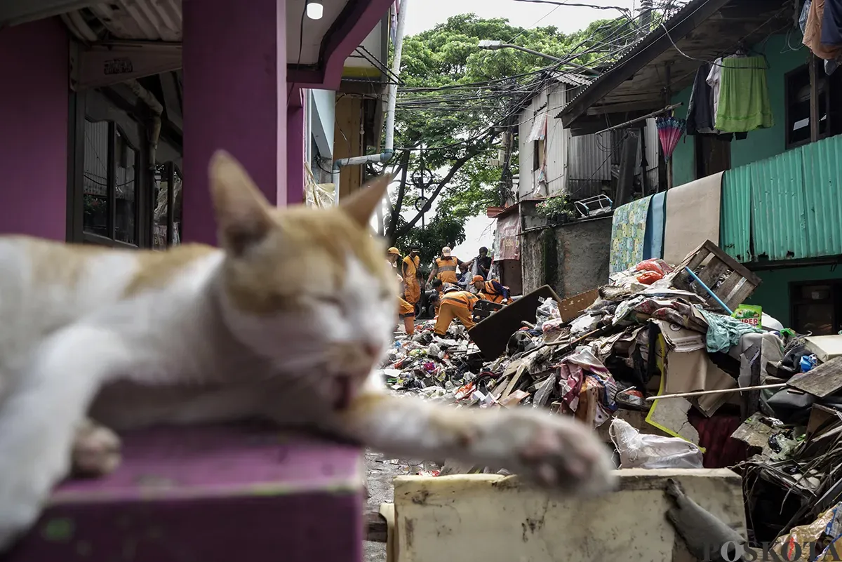 Petugas Penanganan Prasarana dan Sarana Umum (PPSU) Kelurahan Kapuk, mengangkut tumpukan sisa sampah yang terbawa arus air banjir di area gang permukiman pada penduduk di kawasan Jalan Kapuk Bongkaran, Cengkareng, Jakarta Barat, Kamis, 30 Januari 2025. (Sumber: Poskota/ Bilal Nugraha Ginanjar)