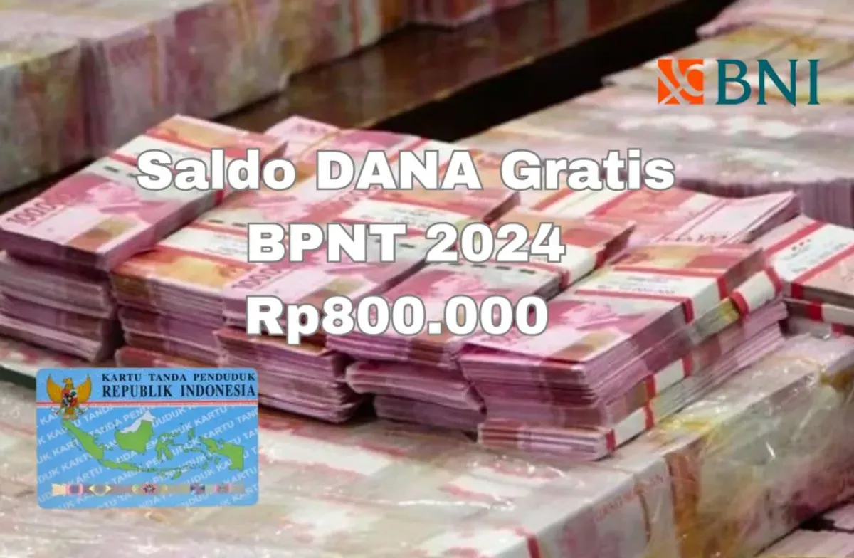 NIK e-KTP KPM ini berhasil terpilih sebagai penerima saldo dana bansos Rp800.000 dari BPNT 2024 cair via Bank BNI. (Sumber: Pinterest)