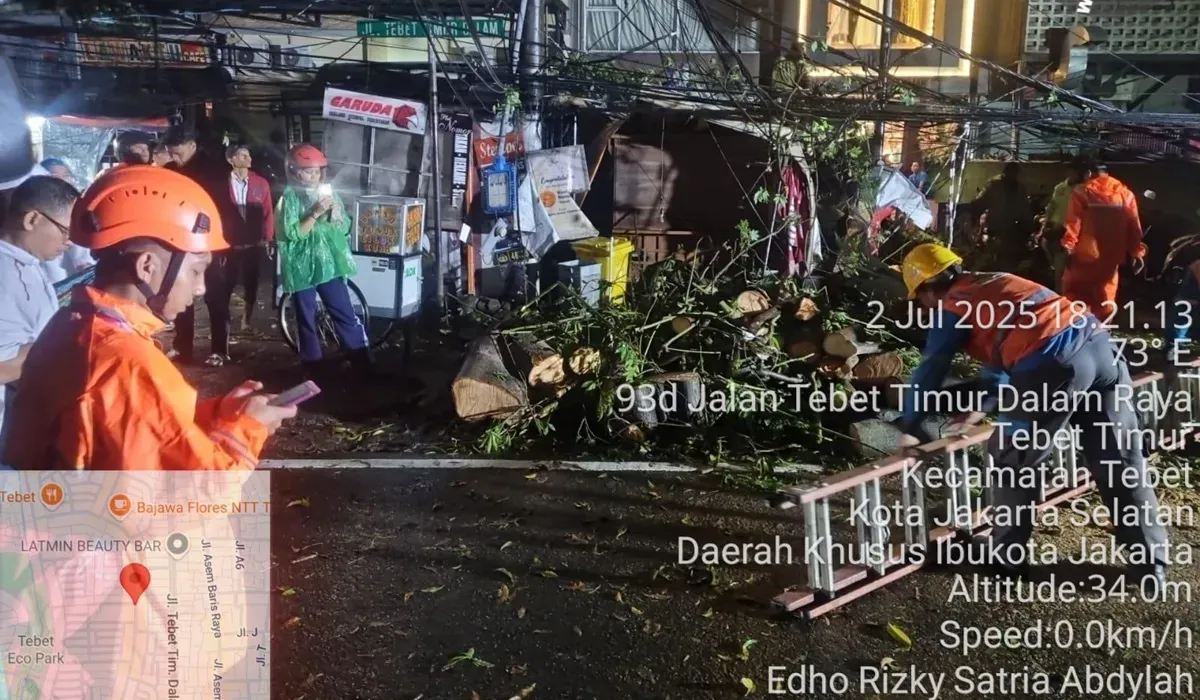 Pohon tumbang menimpa kios makanan di kawasan Tebet, Jakarta Selatan, Rabu, 2 Juli 2025. (Sumber: BPBD Jakarta Selatan)