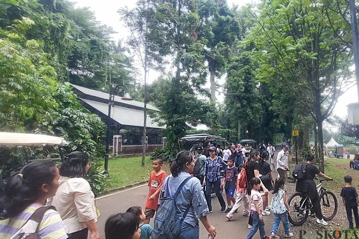Suasan Kebun Raya Bogor dipadati Pengunjung dalam saat periode libur sekolah, Jumat, 11 Juli 2025. (Sumber: Poskota/Sekar Putri Andini)