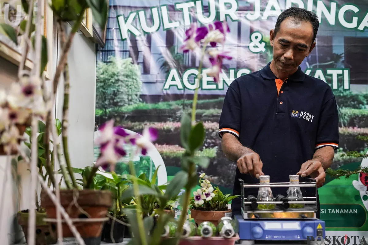 Pengunjung mengamati tanaman hidroponik pada Festival Urban Farming 2025 di Gedung Nyi Ageng Serang, Jakarta, Jum'at, 11 Juli 2025. (Sumber: Poskota/Bilal Nugraha Ginanjar)