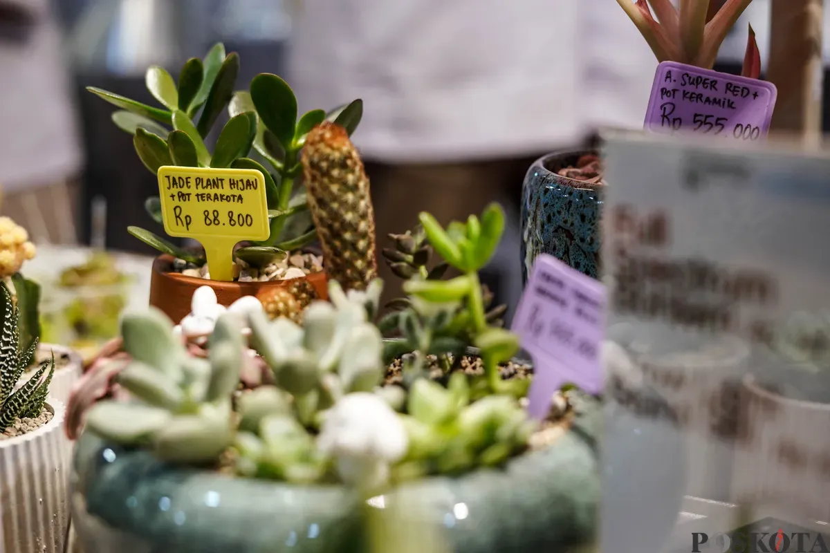 Pengunjung mengamati tanaman hidroponik pada Festival Urban Farming 2025 di Gedung Nyi Ageng Serang, Jakarta, Jum'at, 11 Juli 2025. (Sumber: Poskota/Bilal Nugraha Ginanjar)
