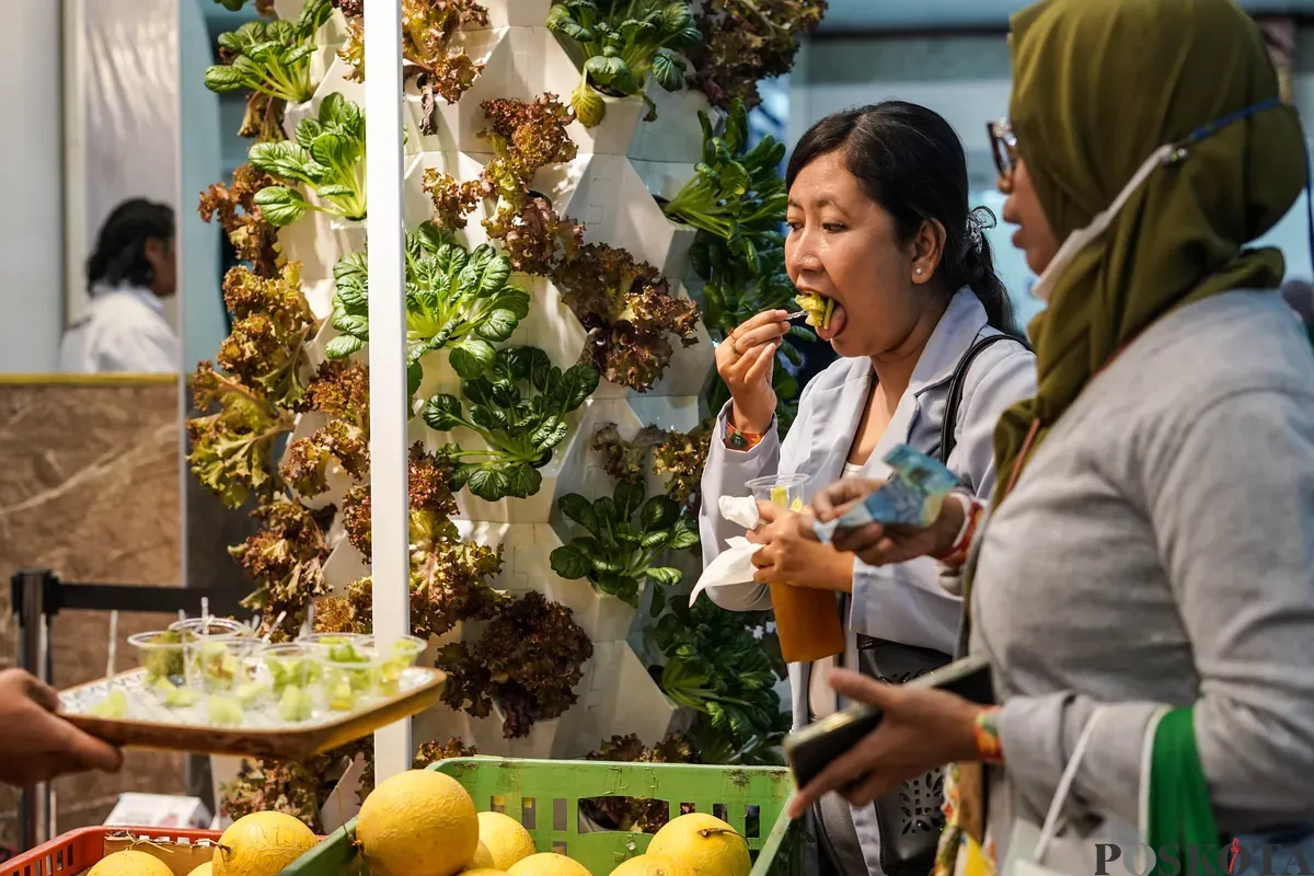 Pengunjung mengamati tanaman hidroponik pada Festival Urban Farming 2025 di Gedung Nyi Ageng Serang, Jakarta, Jum'at, 11 Juli 2025. (Sumber: Poskota/Bilal Nugraha Ginanjar)