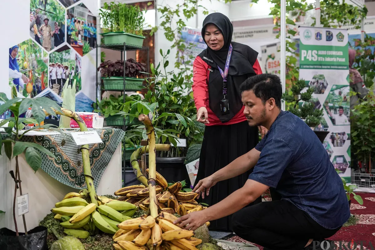 Pengunjung mengamati tanaman hidroponik pada Festival Urban Farming 2025 di Gedung Nyi Ageng Serang, Jakarta, Jum'at, 11 Juli 2025. (Sumber: Poskota/Bilal Nugraha Ginanjar)
