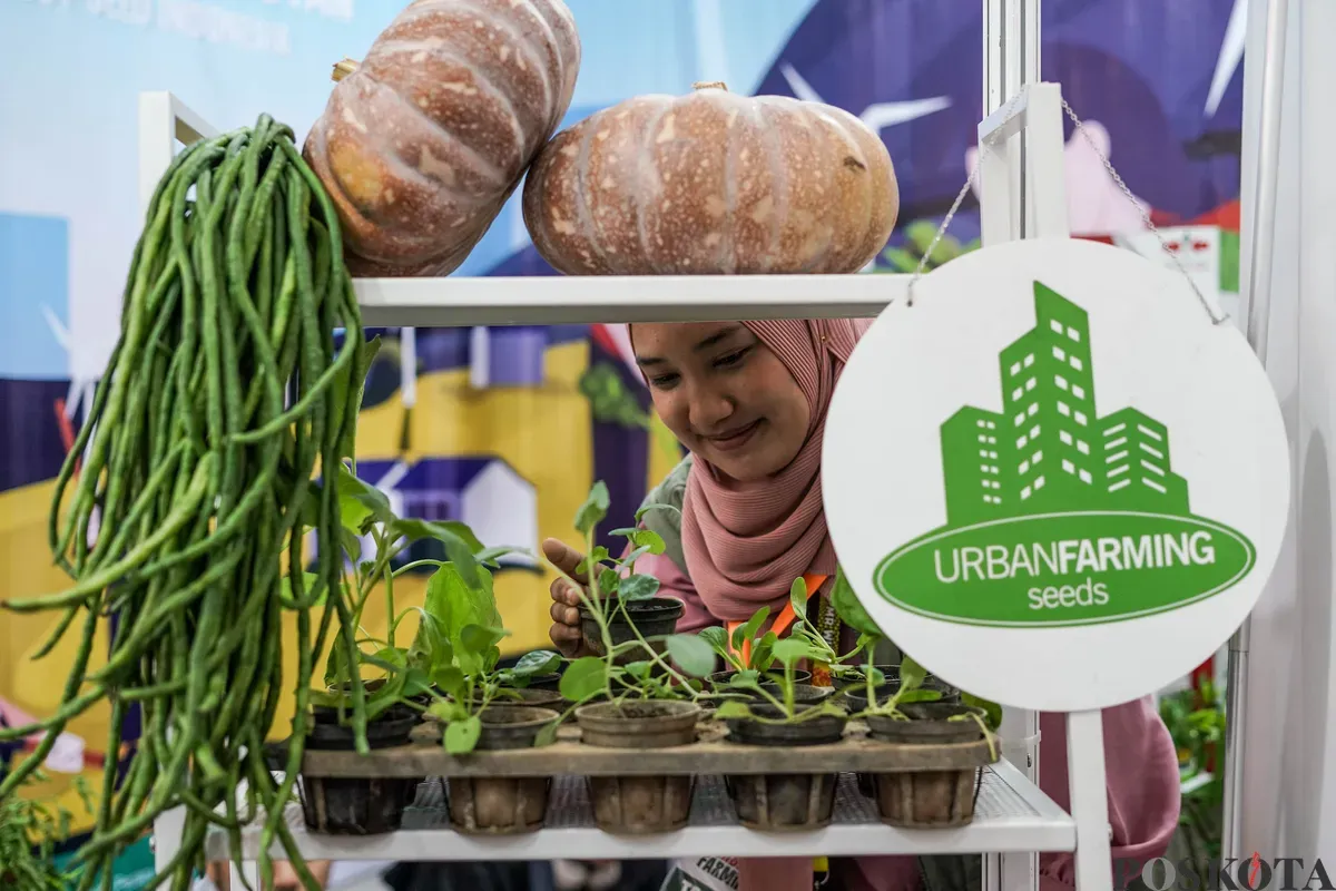 Pengunjung mengamati tanaman hidroponik pada Festival Urban Farming 2025 di Gedung Nyi Ageng Serang, Jakarta, Jum'at, 11 Juli 2025. (Sumber: Poskota/Bilal Nugraha Ginanjar)