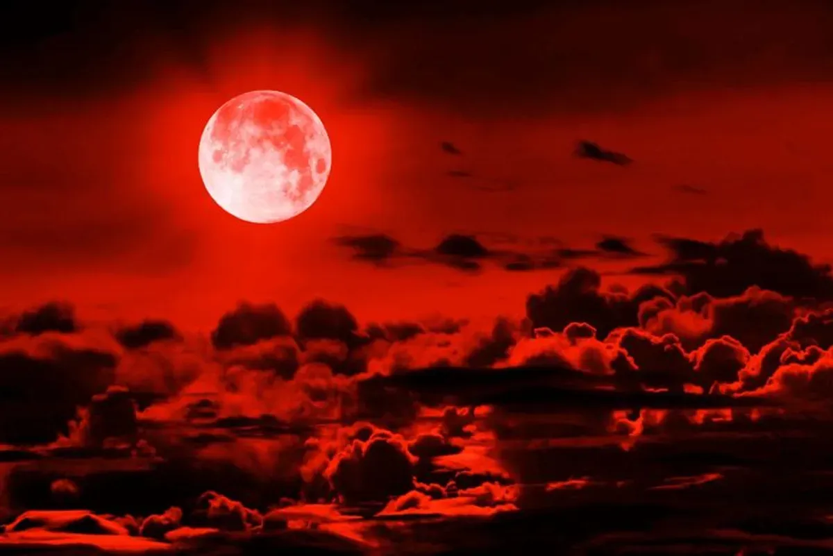 Apakah Bulan Merah Juli 2025 Berbahaya? Ini Penjelasan Pakar Astronomi yang Perlu Anda Ketahui (Sumber: Pinterest)
