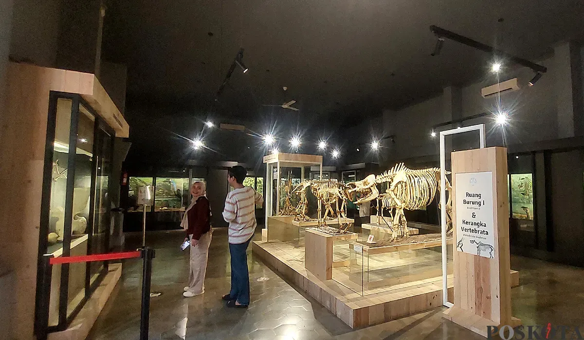 Suasana di Museum Zoologi Kebun Raya Bogor yang kini tampil dengan wajah baru. (Sumber: POSKOTA | Foto: Sekar Putri Andini)