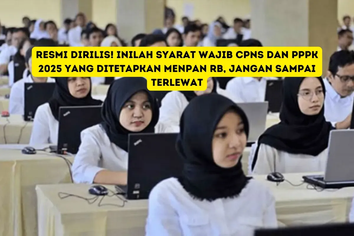 Menpan RB Ungkap Kebijakan Terbaru: Inilah Perubahan Penting untuk Pelamar CPNS dan PPPK (Sumber: Pinterest)
