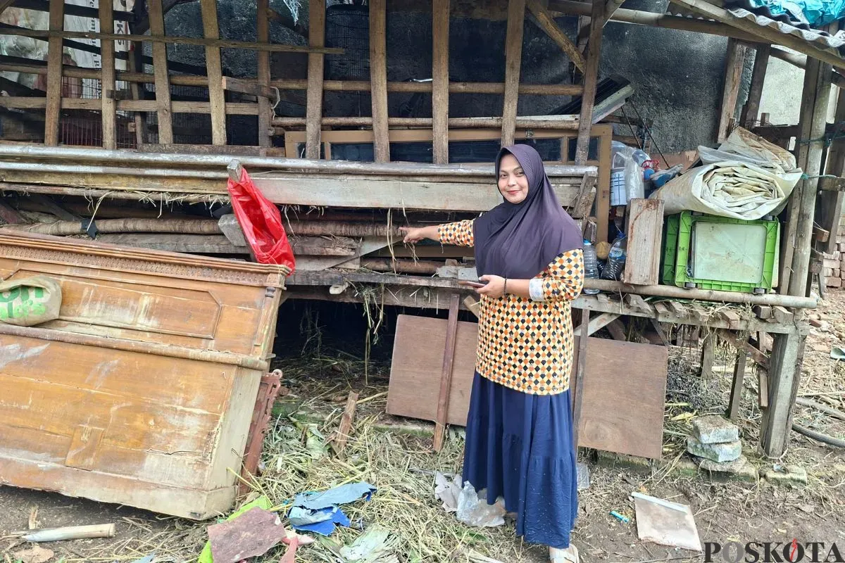 Dwi Susilowati menunjukan kandang tempat kambing-kambingnya berada di RT 04 RW 01, Kelurahan Pengasinan, Kecamatan Sawangan, Kota Depok, Kamis, 17 Juli 2025. (Sumber: Poskota/Angga Pahlevi)