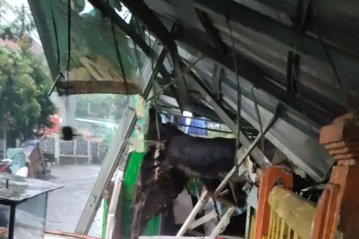 Kios UMKM di Jalan Pondok Rumput RT 002/RW 005, Kelurahan Kebon Pedes, Kecamatan Tanah Sareal, Kota Bogor, tertimpa pohon, Jumat, 18 Juli 2025. (Sumber: Dok. BPBD Kota Bogor)