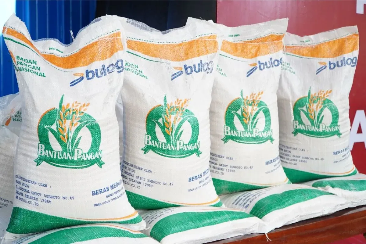 Bantuan pangan beras 20 kg. (Sumber: badanpangan.go.id)