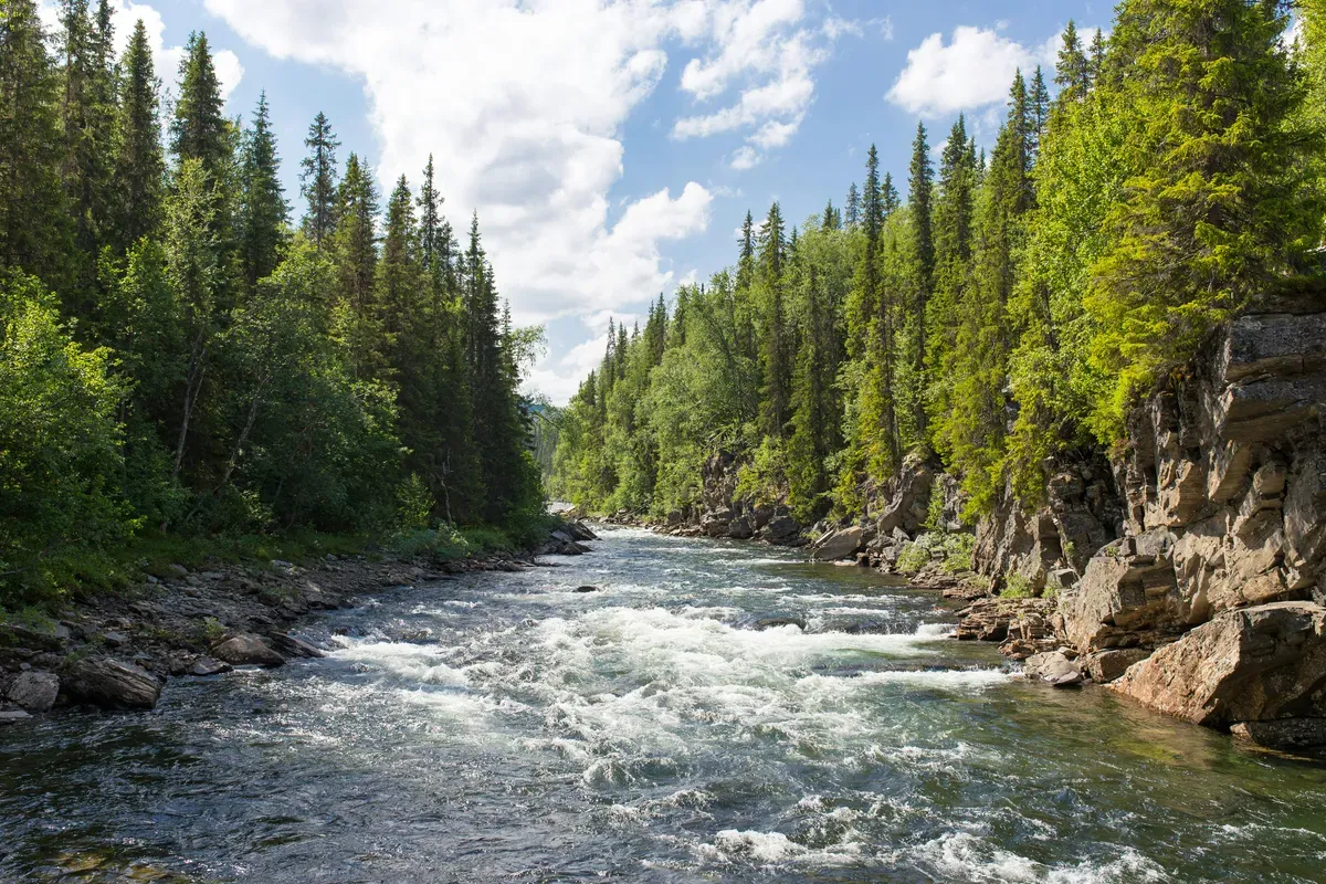 27 Juli Memperingati Hari Apa? Ada Hari Sungai Nasional (Sumber: Unsplash/Jon Flobrant)