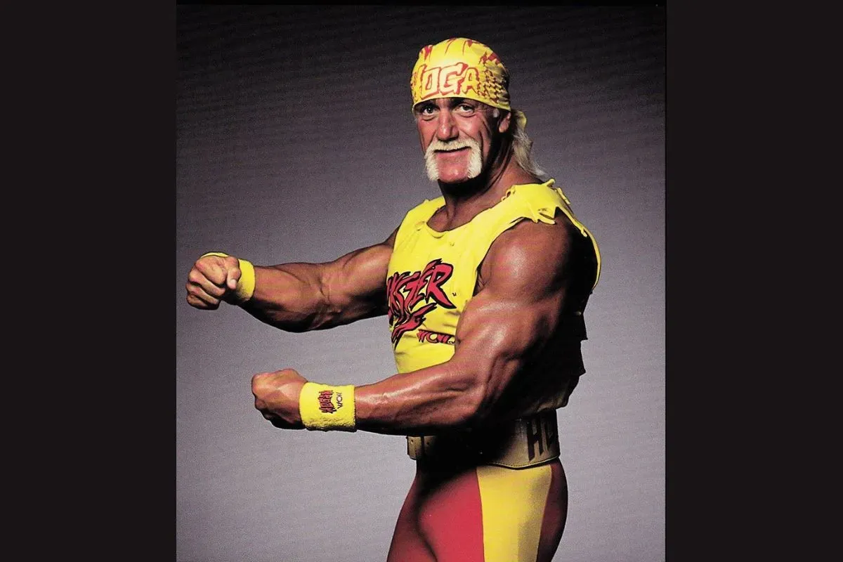 Legenda WWE Hulk Hogan meninggal dunia (Sumber: Pinterest)