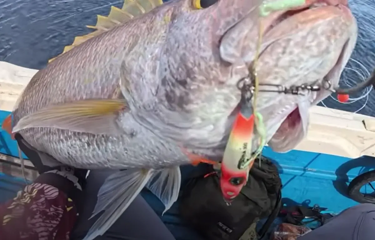 Joran anti patah melengkung tajam saat menghadapi tarikan ikan GT di laut dalam. (Sumber: Youtube/@Gemoy Mancing)