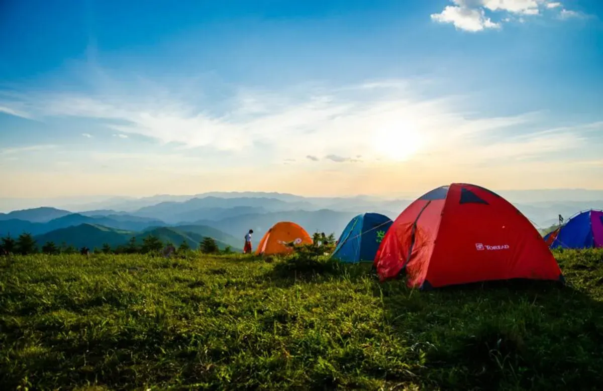 Ilustrasi Tiga Dewa Adventure diduga booking lahan perkemahan. (Sumber: Pexels)