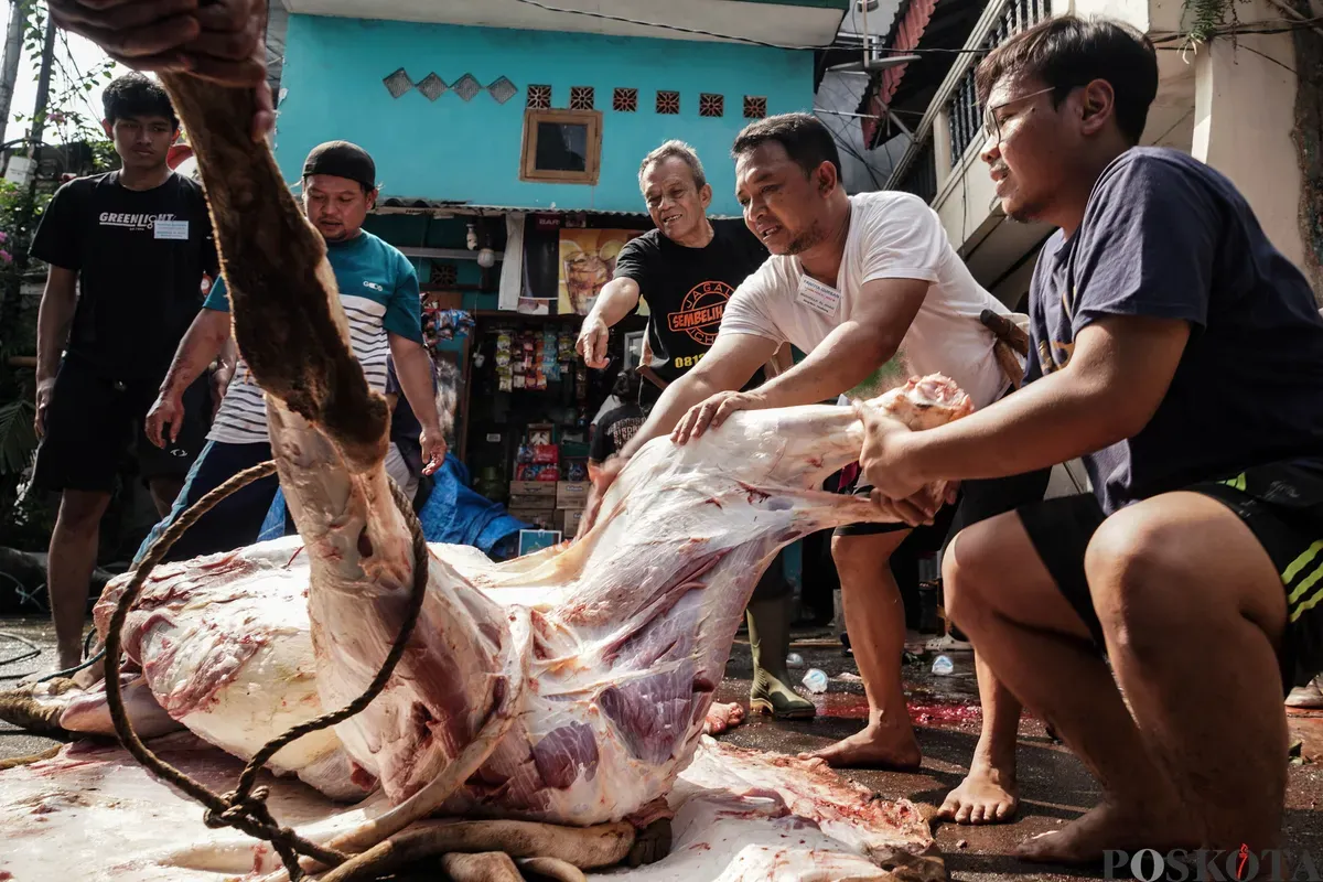 Warga memotong daging sapi yang telah disembelih saat Hari Raya Idul Adha di kawasan Jalan Kebon Kacang, Tanah Abang, Jakarta, Jum'at, 6 Juni 2025. (Sumber: Poskota/Bilal Nugraha Ginanjar)