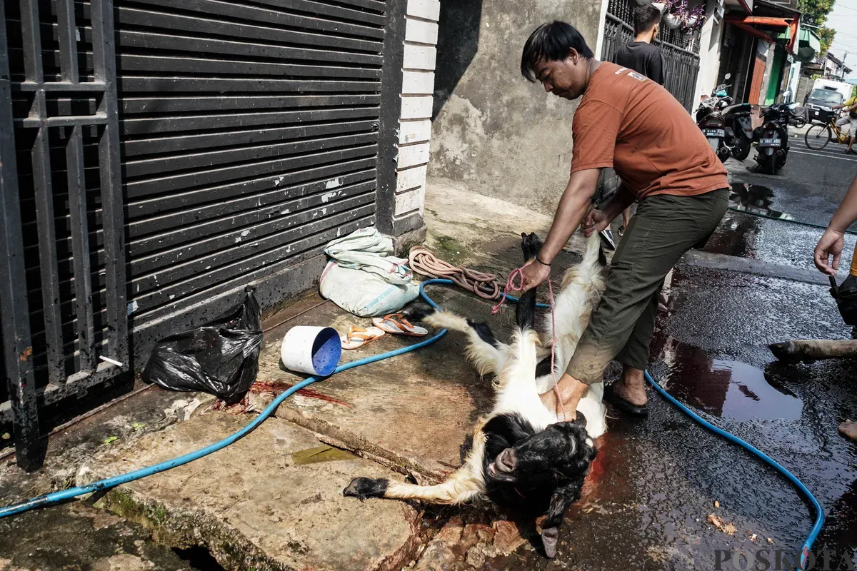 Warga memegangi kambing yang akan disembelih saat Hari Raya Idul Adha di kawasan Jalan Kebon Kacang, Tanah Abang, Jakarta, Jum'at, 6 Juni 2025. (Sumber: Poskota/Bilal Nugraha Ginanjar)