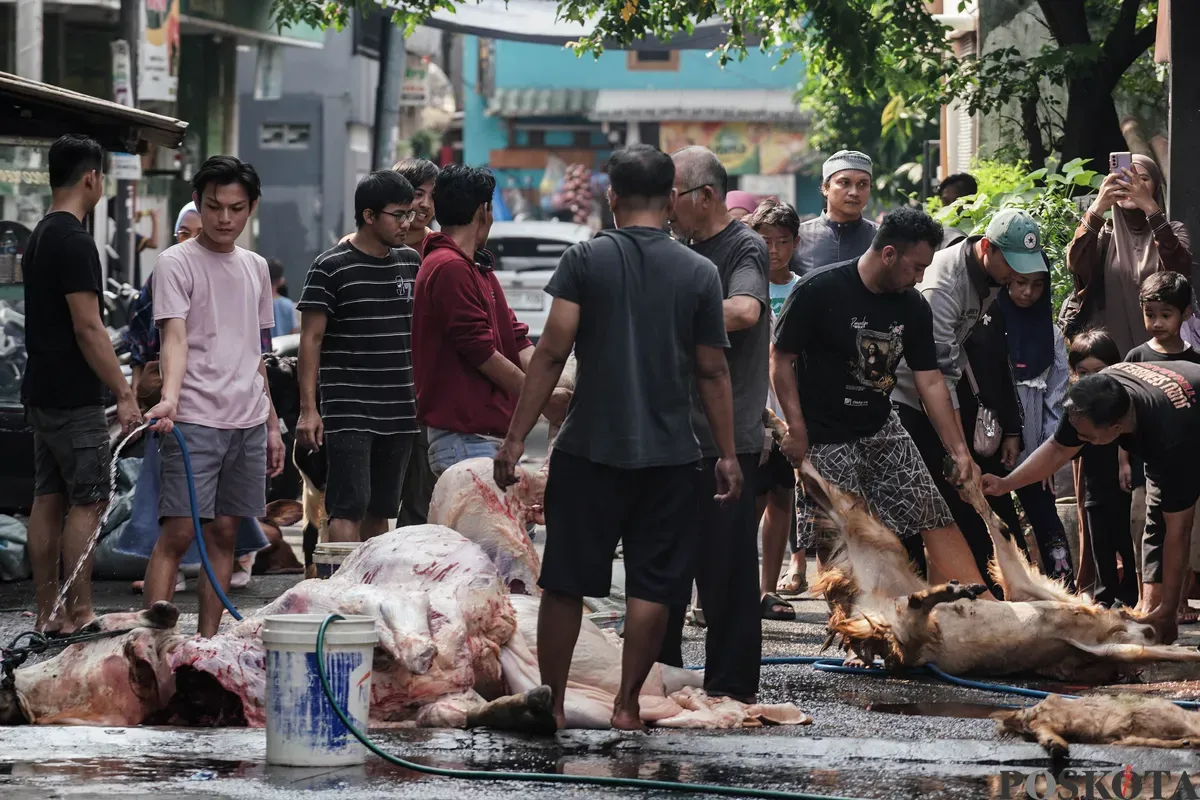 Warga memotong daging sapi yang telah disembelih saat Hari Raya Idul Adha di kawasan Jalan Kebon Kacang, Tanah Abang, Jakarta, Jum'at, 6 Juni 2025. (Sumber: Poskota/Bilal Nugraha Ginanjar)