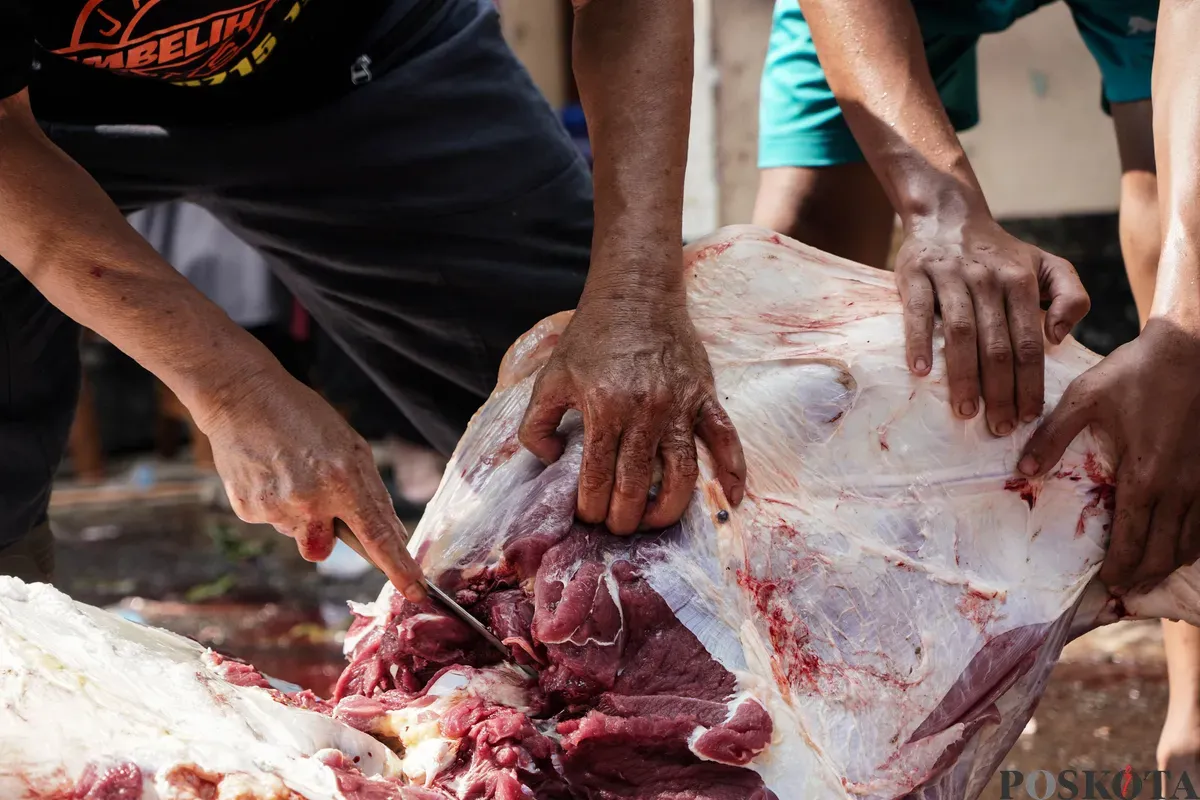 Warga memotong daging sapi yang telah disembelih saat Hari Raya Idul Adha di kawasan Jalan Kebon Kacang, Tanah Abang, Jakarta, Jum'at, 6 Juni 2025. (Sumber: Poskota/Bilal Nugraha Ginanjar)