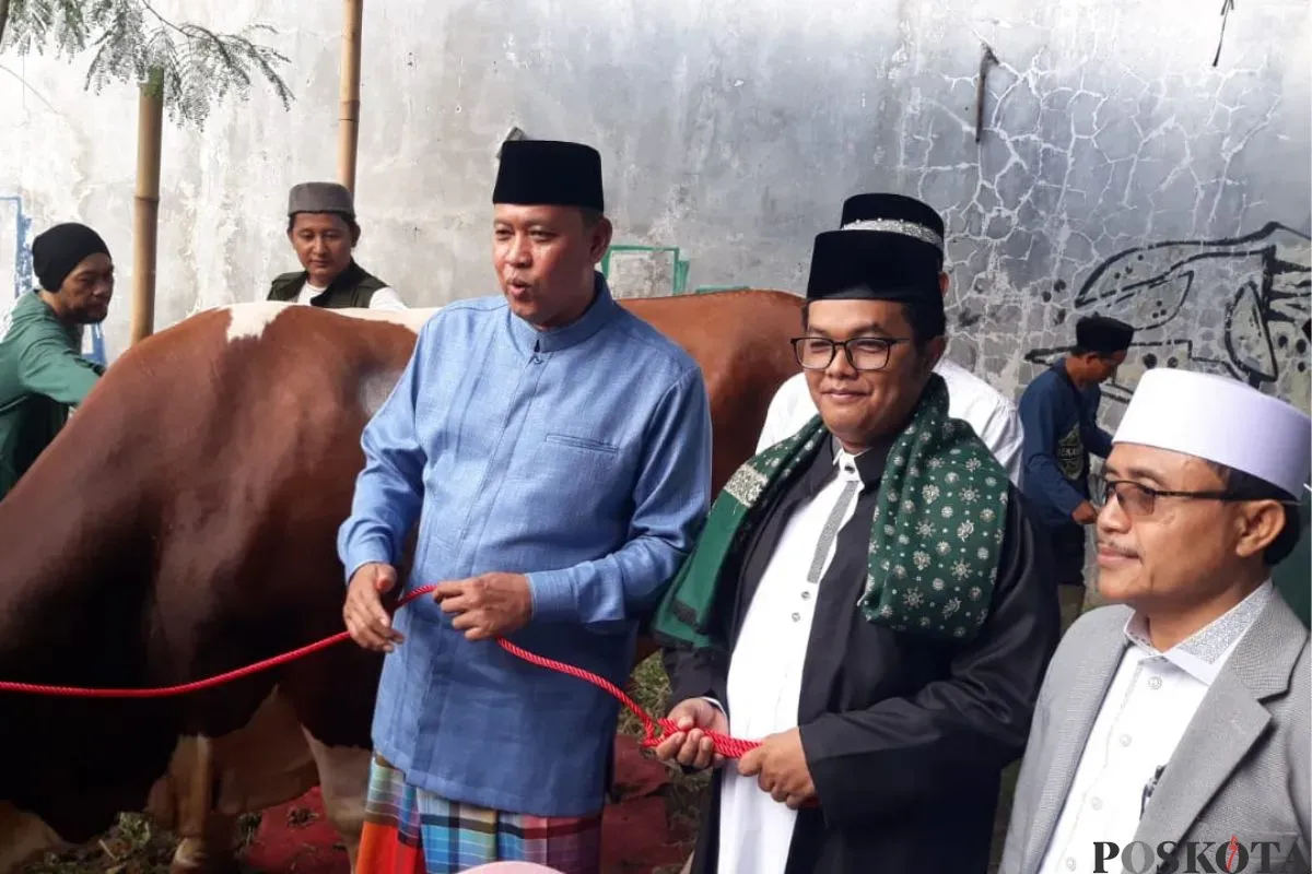 Wali kota Bekasi, Tri Adhianto menengok dan menyerahkan secara simbolis sapi kurban dari Prabowo Subianto di masjid Agung Al-Barkah Kota Bekasi, Kamis, 6 Juni 2025. (Sumber: Poskota/Nurpini Aulia Rapika)