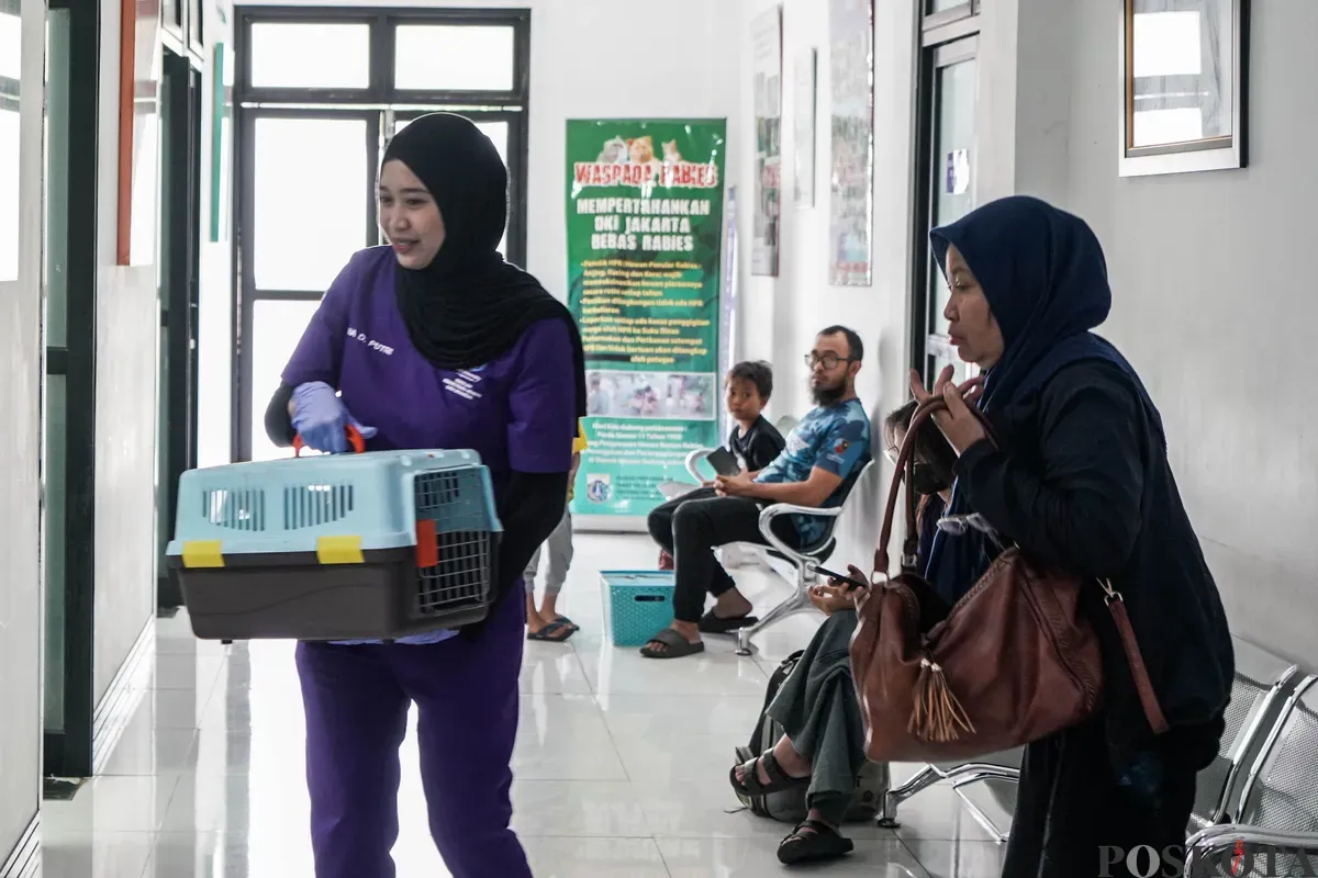 Dokter membawa hewan peliharaan milik warga untuk diperiksa di Pusat Kesehatan Hewan Ragunan, Jakarta Selatan, Selasa, 17 Juni 2025. (Sumber: Poskota/Bilal Nugraha Ginanjar)
