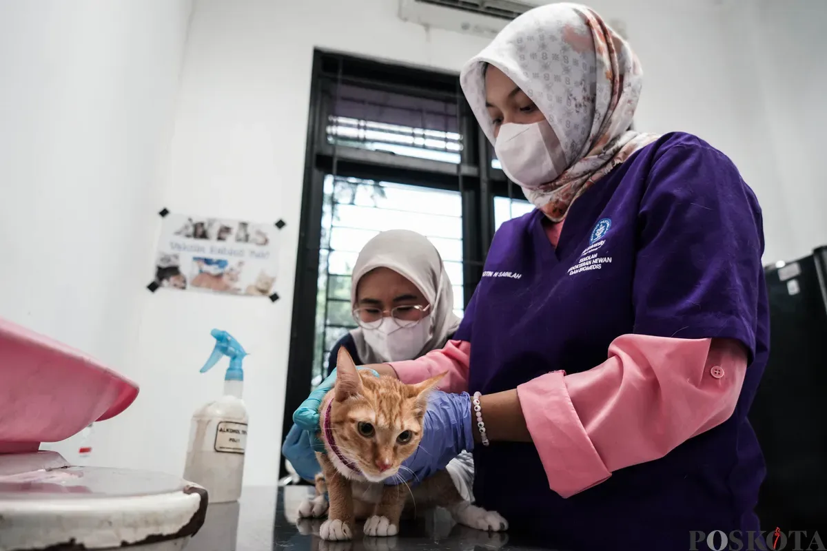 Dokter memeriksa hewan peliharaan milik warga di Pusat Kesehatan Hewan Ragunan, Jakarta Selatan, Selasa, 17 Juni 2025. (Sumber: Poskota/Bilal Nugraha Ginanjar)