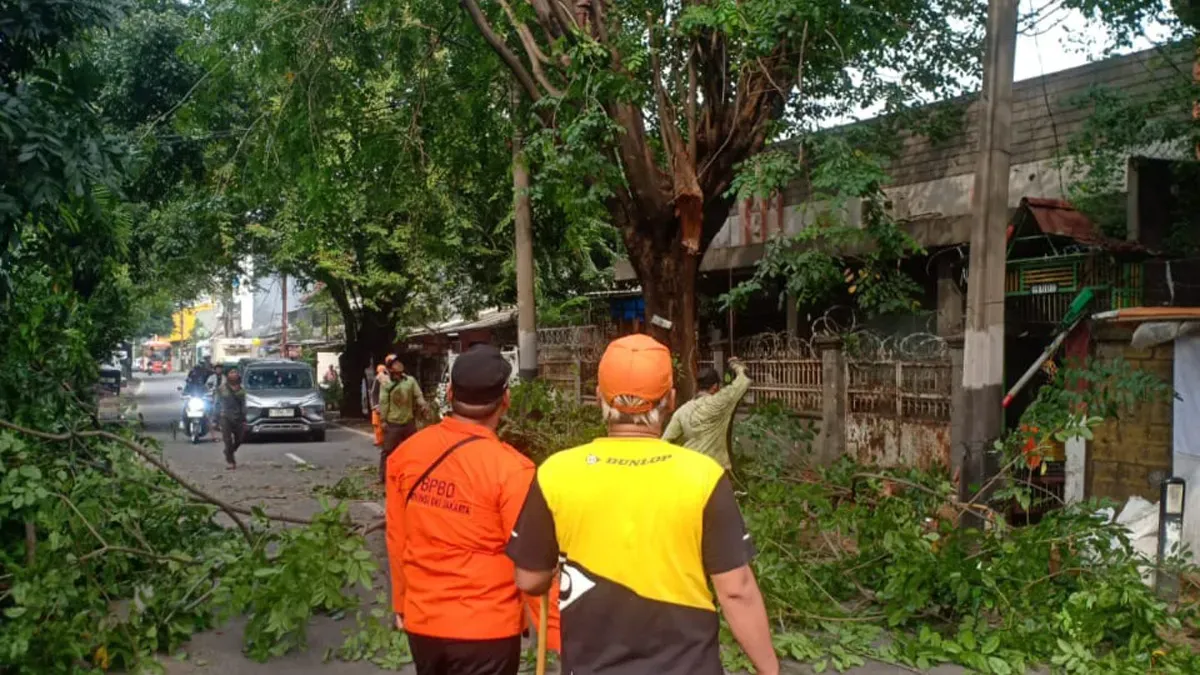 Petugas evakuasi pohon tumbang di kawasan Kembangan, Jakbar, Senin, 23 Juni 2025. (Sumber: BPBD Jakarta)