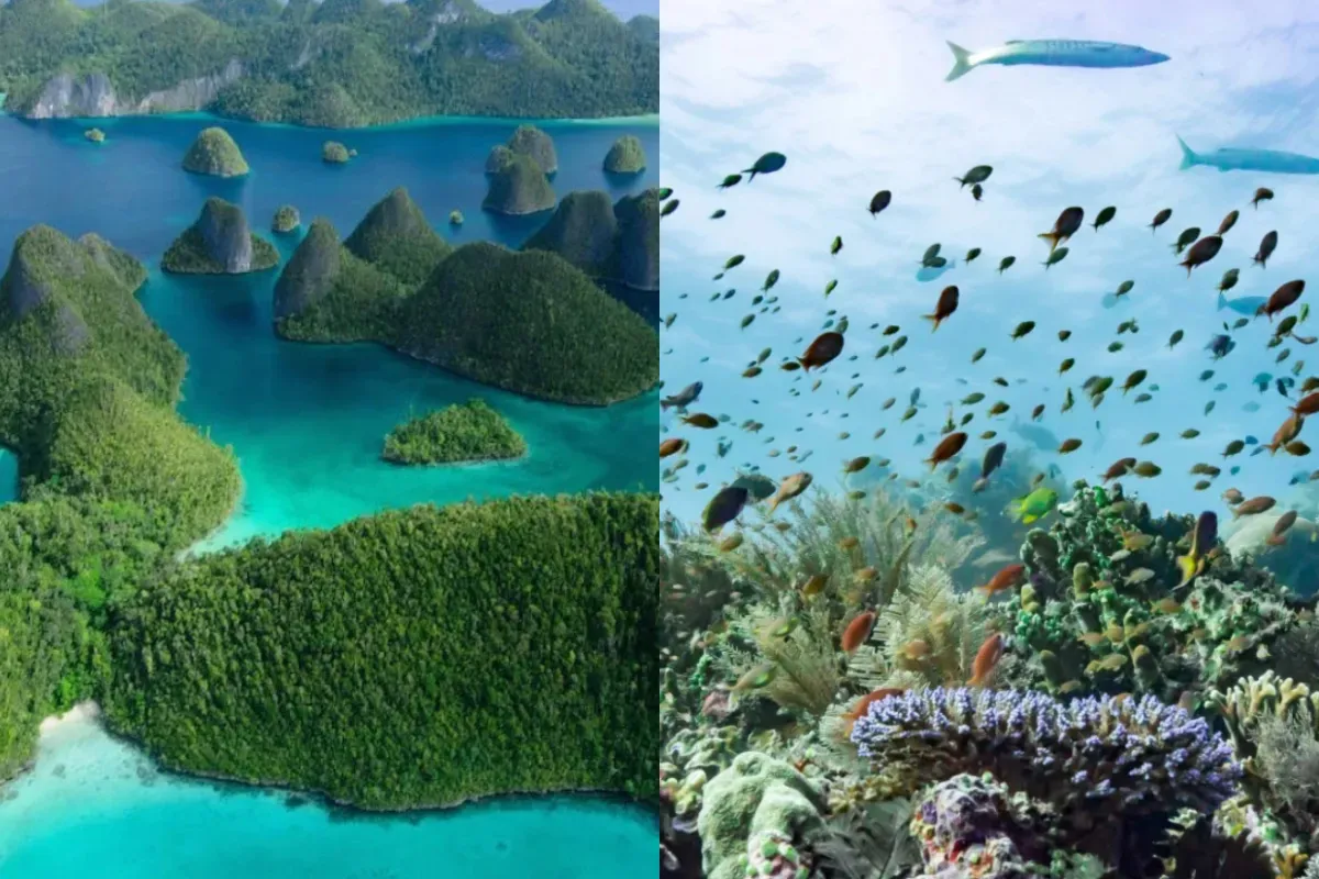 Ilustrasi ancaman serius akibat tambang di pulau-pulau kecil. (Sumber: UGM)