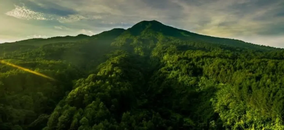 Ilustrasi, Gunung Salak, Kabupaten Bogor. (Sumber: Dok Dirjen Konservasi SDA dan Ekosistem)