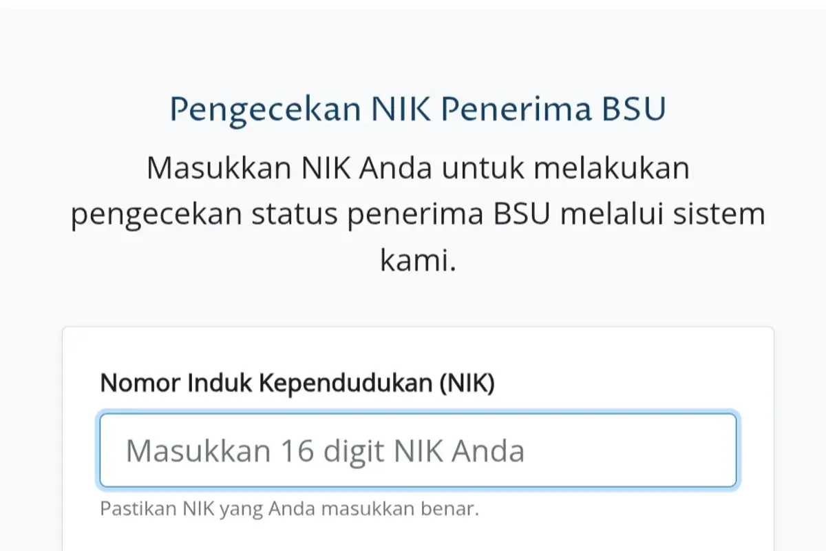 Pengecekan penerima BSU BPJS Ketenagakerjaan lewat situs resmi. (Sumber: BSU Kemnaker)