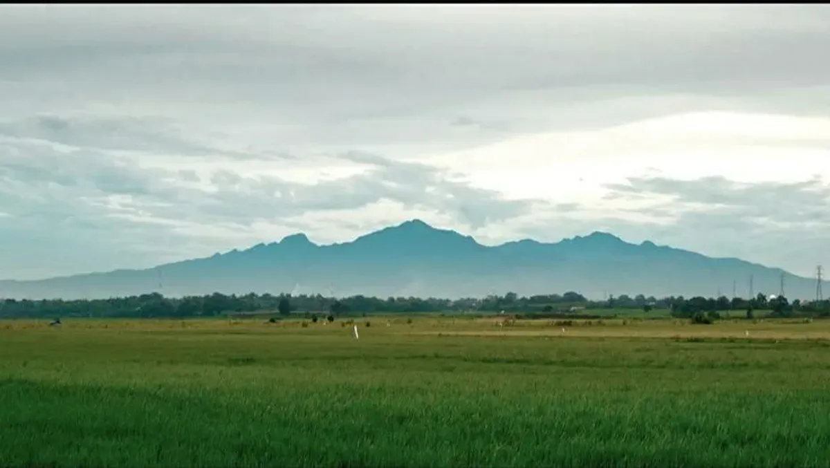 SeorangPendaki terjatuh di jurang Gunung Muria (Sumber: Pinterest)
