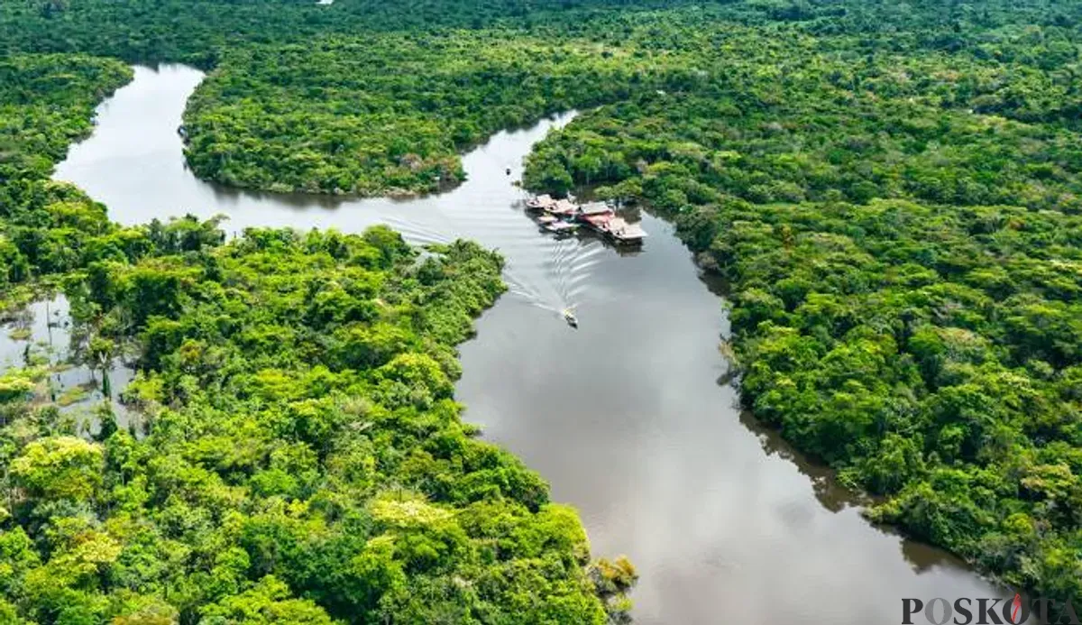 Potret Hutan Amazon yang dibanjir rating 1 oleh warganet Indonesia. (Sumber: Google Maps)