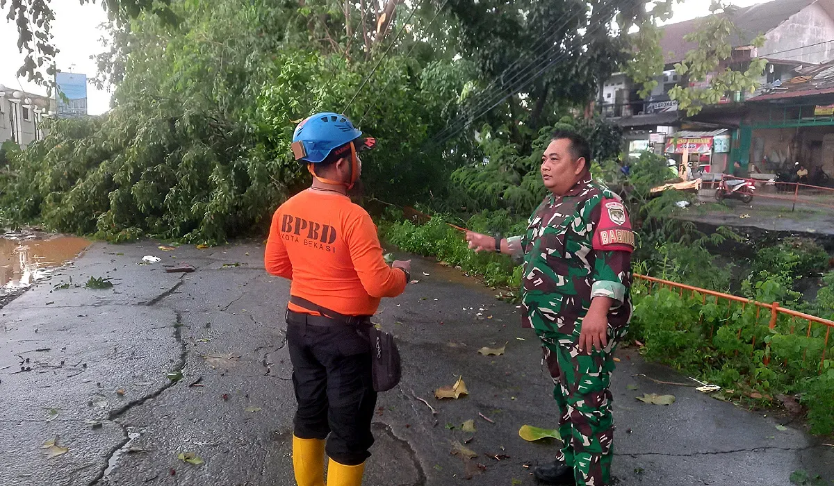 BPBD Kota Bekasi bersama membereskan empat pohon tumbang di Kecamatan Rawalumbu, Kabupaten Bekasi pada Minggu, 29 Juni 2025. (Sumber: Humas BPBD kota Bekasi)