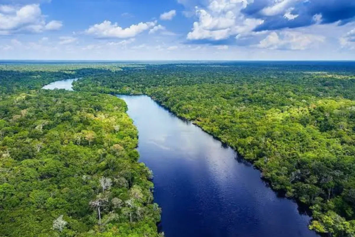 Hutan Amazon dapat rating buruk dari netizen Indonesia imbas gunung Rinjani yang diberi bintang satu oleh netizen Brasil. (Sumber: Google Maps/Joy Prakash Das)