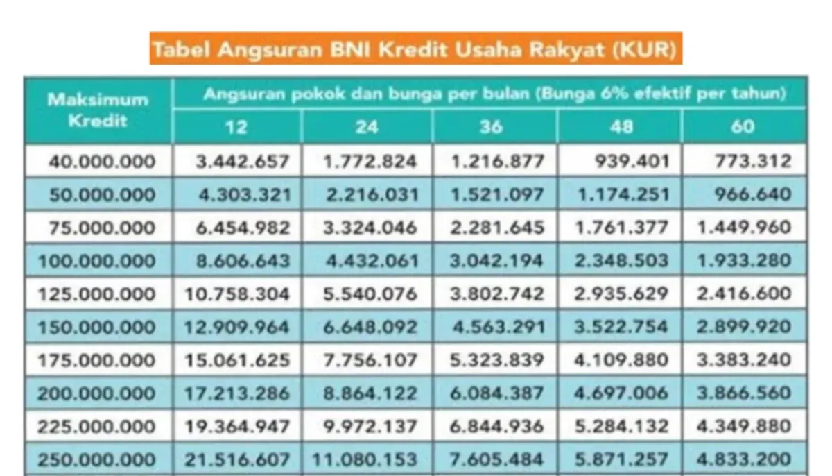 Dengan suku bunga rendah, tenor fleksibel, serta proses pengajuan yang relatif mudah, KUR BNI 2025 menawarkan kemudahan bagi masyarakat dalam memperoleh pinjaman hingga Rp50 juta. (Sumber: Poskota/Dadan Triatna)