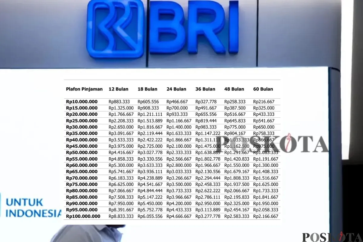 Perbandingan KUR BRI 2025 antara KUR Mikro dan KUR Kecil. (Sumber: Poskota/Arip Apandi)