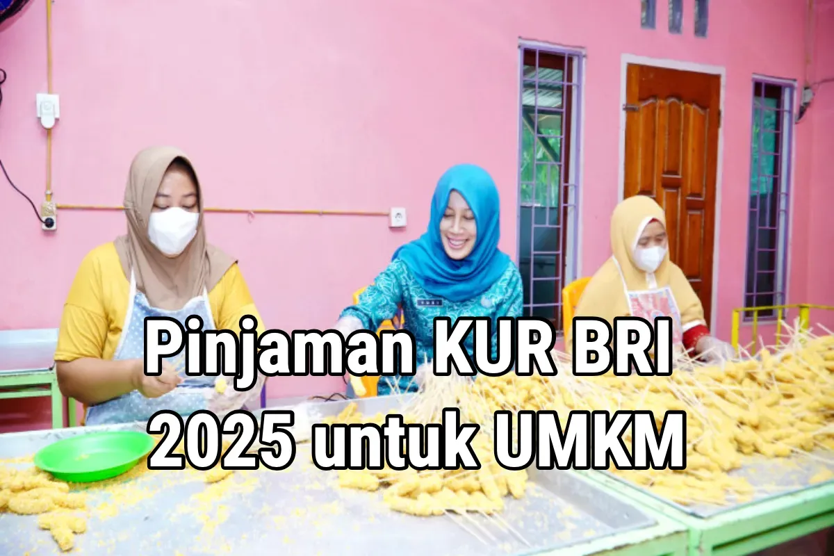 Ilustrasi pinjaman KUR BRI 2025. (Sumber: Poskota/Dzikri)