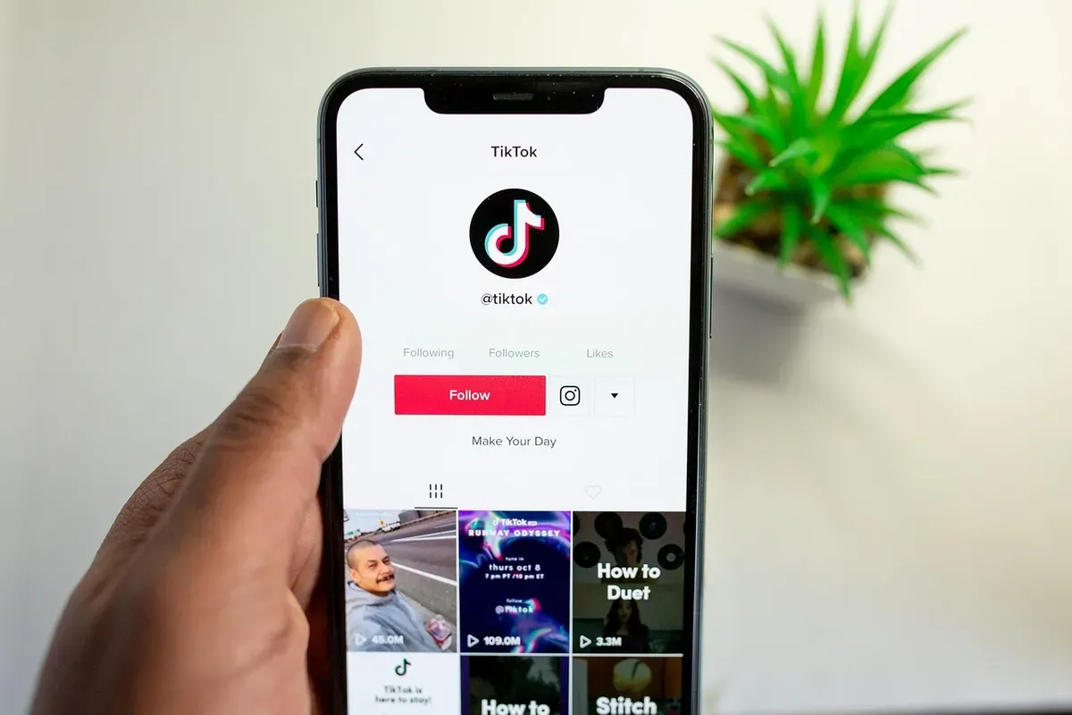 Cara mengganti nama pengguna TikTok orang lain. (Sumber: Pixabay/solenfeyissa)