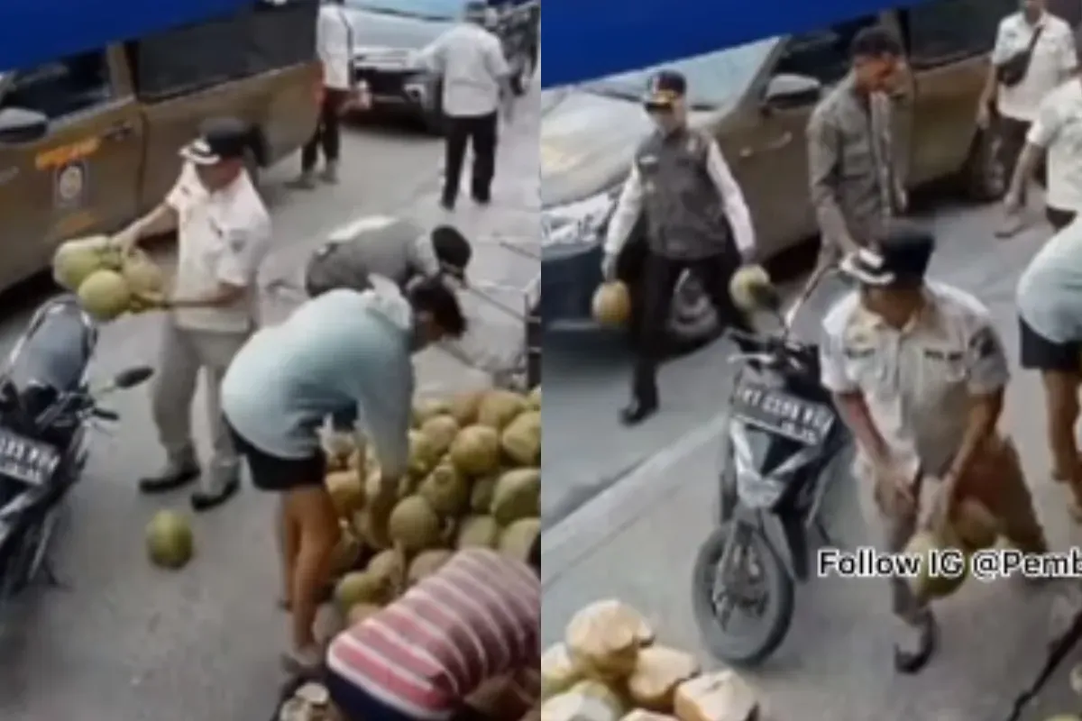 Viral petugas Satpol PP Samarinda ambil sejumlah kelapa milik pedagang saat menertibkan jalan trotoar. (Sumber: Tangkap Layar Instagram/@pembasmi.kehaluan.reall)