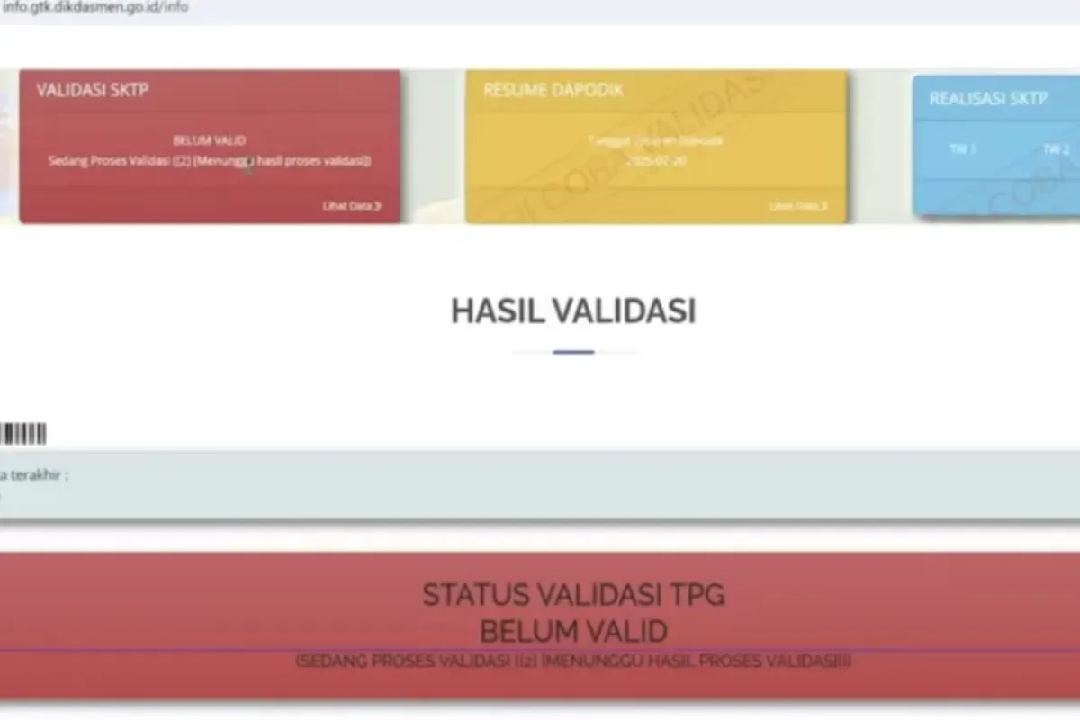 Pastikan data Anda valid agar TPG 2025 cair sesuai jadwal di Info GTK. (Sumber: Screenshot YouTube/@Salam Satu Data)