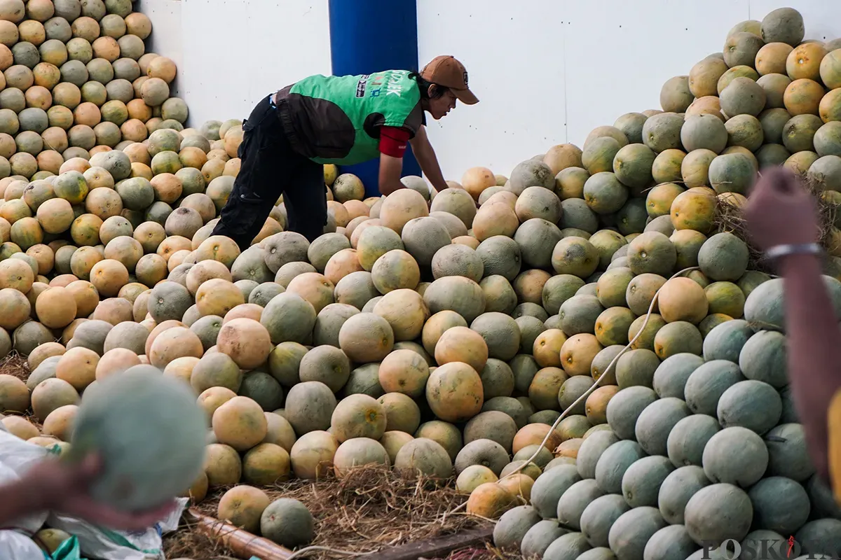 Sejumlah pedagang buah menyortir aneka buah-buahan segar yang akan dijualnya di Pasar Induk Kramat Jati, Jakarta Timur, Senin,10 Maret 2025. (Sumber: Poskota/Bilal Nugraha Ginanjar)