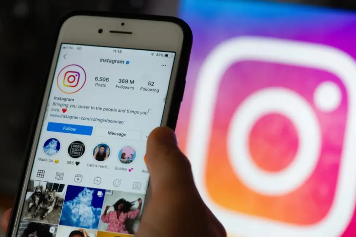 10 Cara Melihat Akun Instagram Private Tanpa Follow. (Sumber: Pinterest/InstaGb Apk)