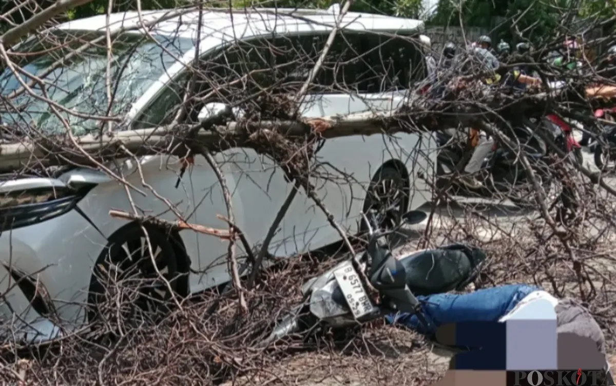 Pohon tumbang menimpa pengendara motor dan mobil di Jalan Pesanggrahan, Kembangan, Jakarta Barat, Jumat, 21 Maret 2025. (Sumber: Poskota/Pandi Ramedhan)