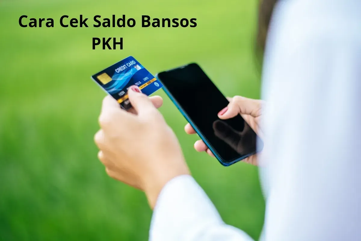 Cara cek saldo bansos PKH dengan Hp. (Sumber: Freepik/jcomp)