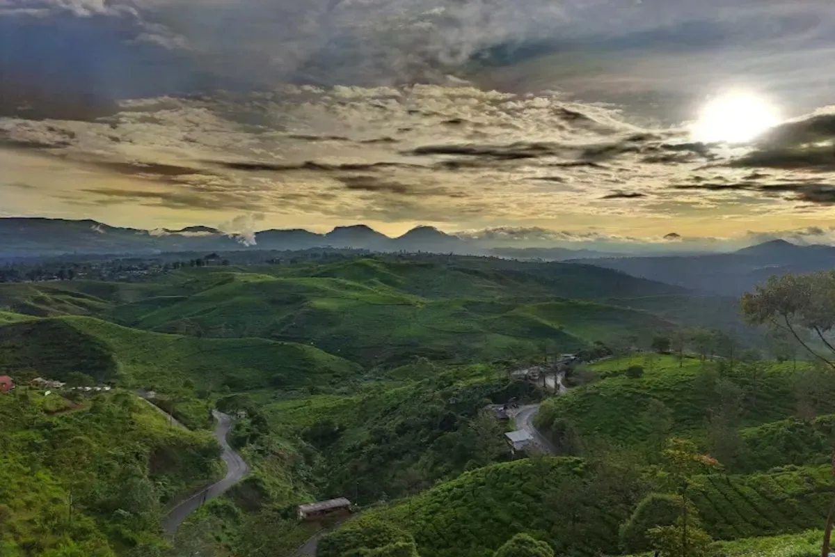 Pemandangan indah Sunrise Point Cukul di Pangalengan, Bandung Selatan, yang menampilkan hamparan perbukitan hijau dengan sinar matahari pagi yang menembus kabut tipis. (Sumber: Google/Mokuren Kawai)