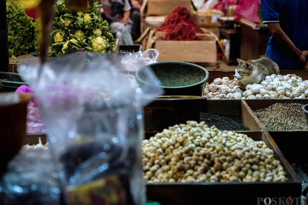 Pedagang memilah bawang merah dan bawang putih impor yang akan dijual ke pembeli di Pasar Induk Kramat Jati, Jakarta Timur, Kamis, 1 Mei 2025. (Sumber: Poskota/Bilal Nugraha Ginanjar)