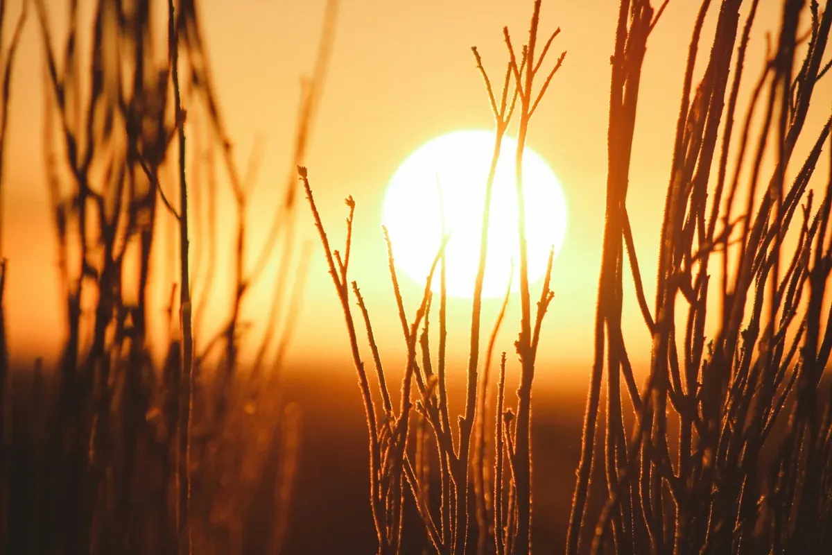 Hari Surya Sedunia Diperingati 3 Mei, Ini Sejarah dan Cara Merayakannya (Sumber: Unsplash/Jeremy Bishop)