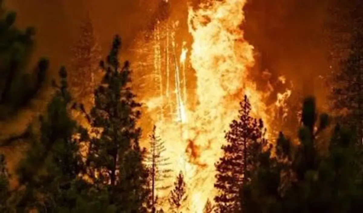 Kronologi dan dampak kebakaran hutan besar yang terjadi di sekitar jalan utama Yerusalem-Tel Aviv, Israel, pada akhir April 2025. (Sumber: Pinterest)