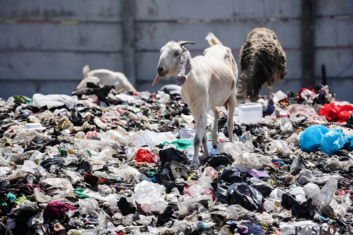 Tumpukan sampah yang berada di area kolong jalan tol dalam kota, Kelurahan Papanggo, Jakarta Utara, Senin, 5 Mei 2025. (Sumber: Poskota/Bilal Nugraha Ginanjar)